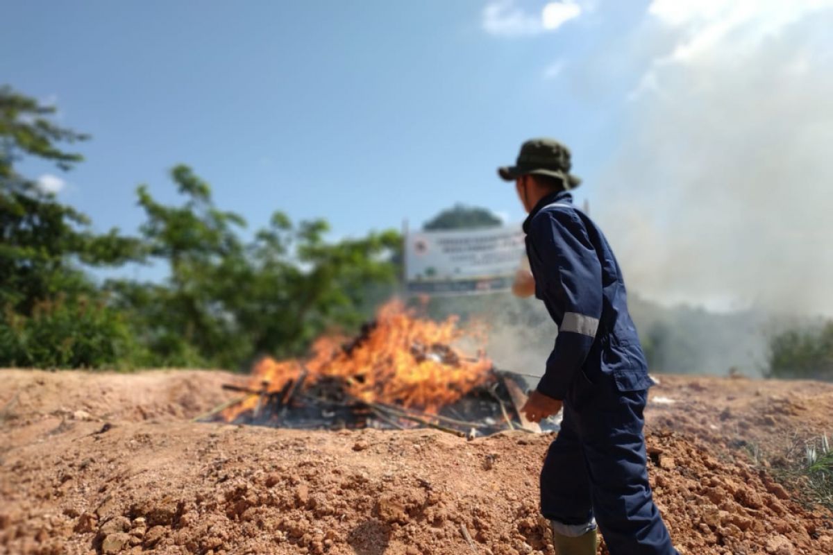 Entikong Quarantine Station destroys 8 tons of illegal red onion