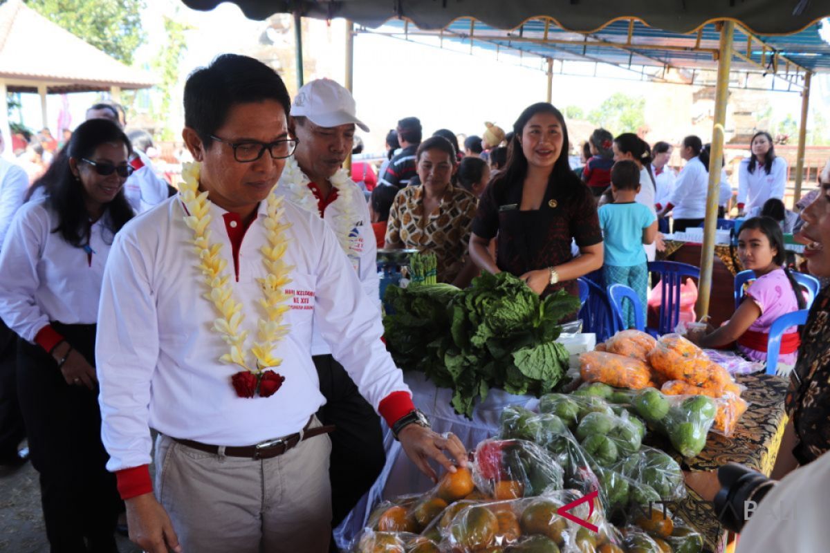 Pemkab Badung peringati Hari Keluarga dan HAN