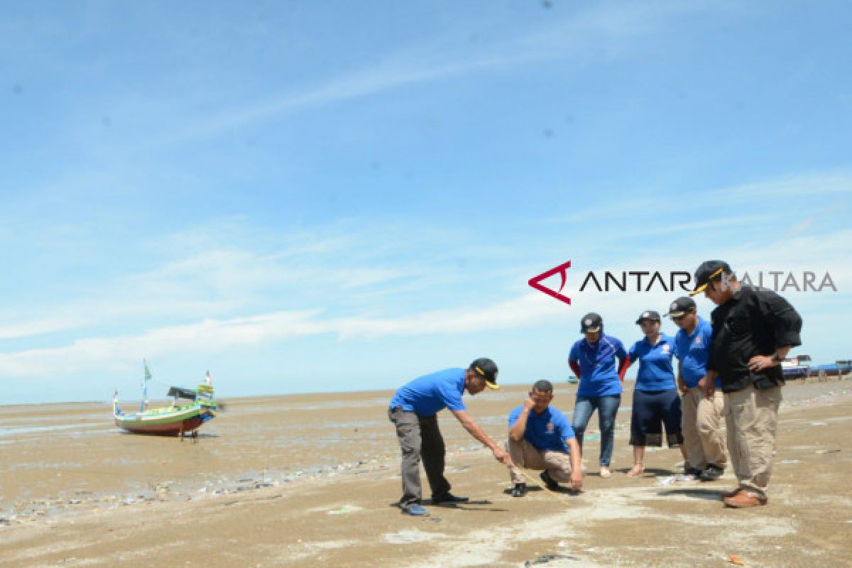 Bakamla tinjau lokasi penanaman mangrove di Sebatik