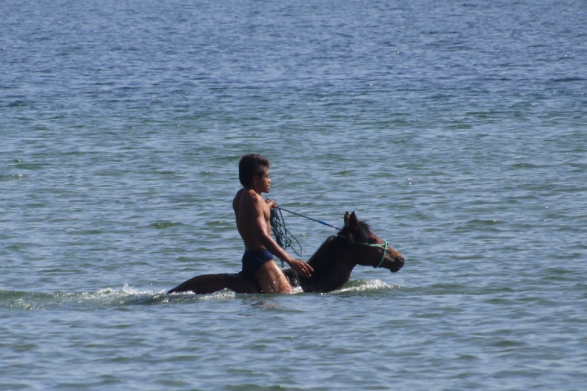 Bima latih kuda pacu di pantai