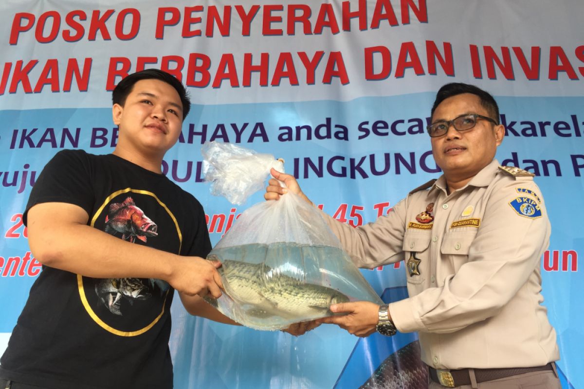 Warga serahkan 14 ekor ikan berbahaya ke karantina ikan Padang