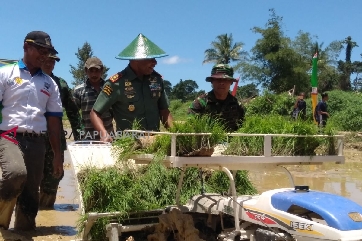 Pencetakan 150 hektare sawah baru Wondama tertunda