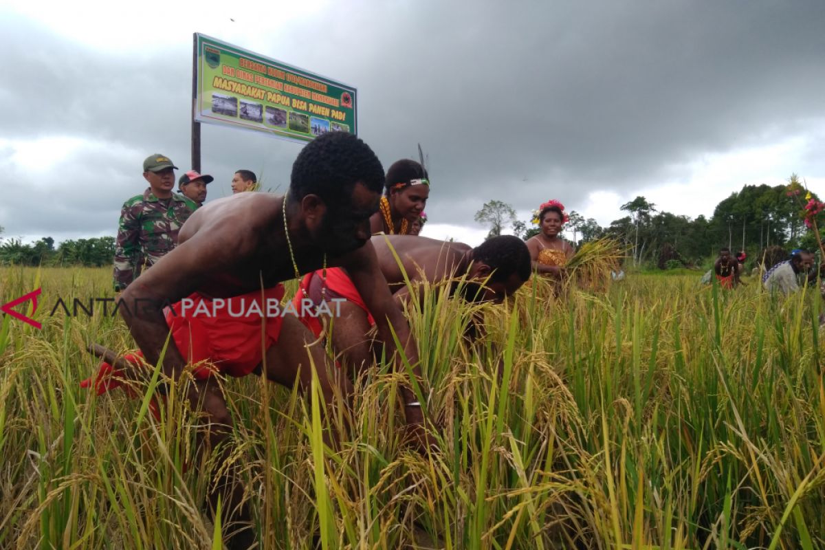 NTP Papua Barat meningkat 0,37 persen