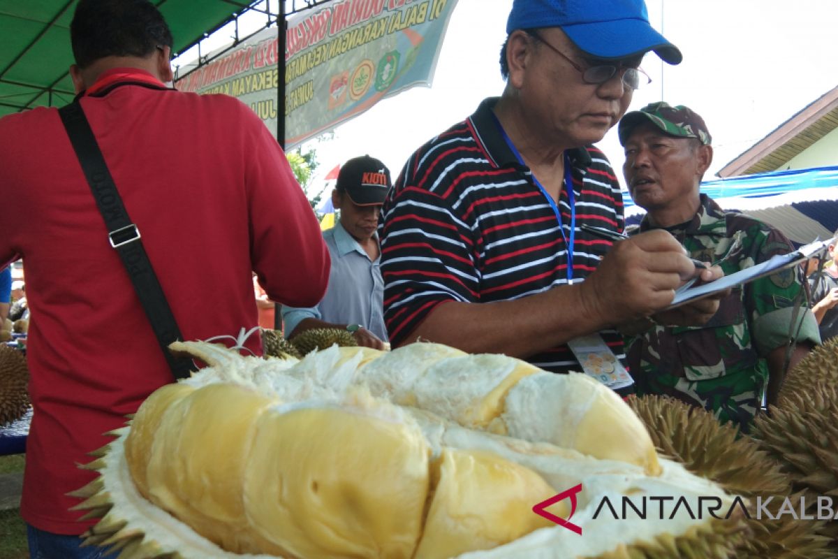Ratusan peserta ikut kontes durian Sanggau
