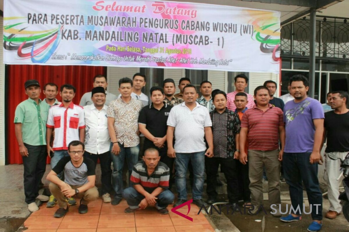 Udin Cino Ketua Pengcab Wushu Madina