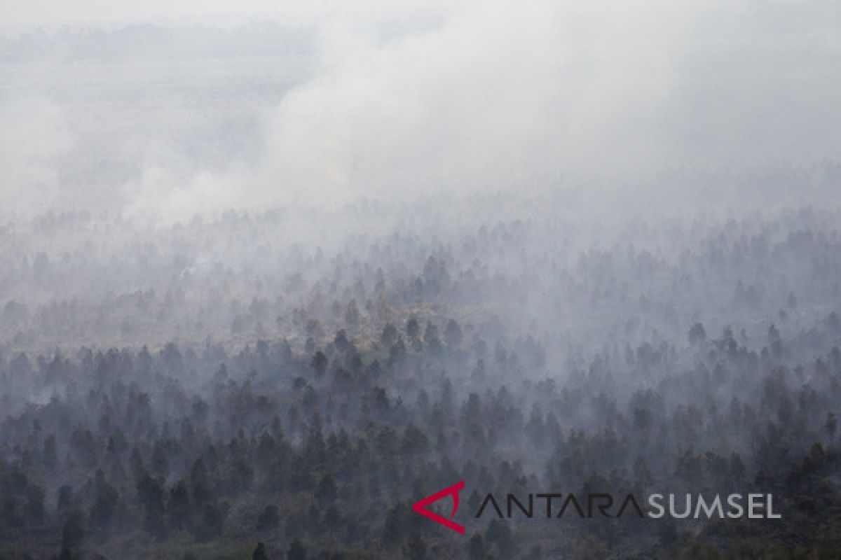 Kabupaten OKU  Timur antisipasi kebakaran hutan dan lahan