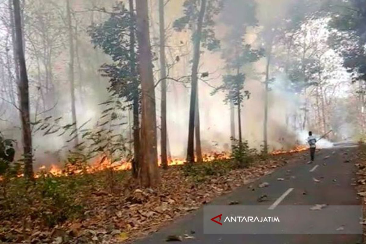 Karhutla di Bojonegoro Cenderung Meningkat