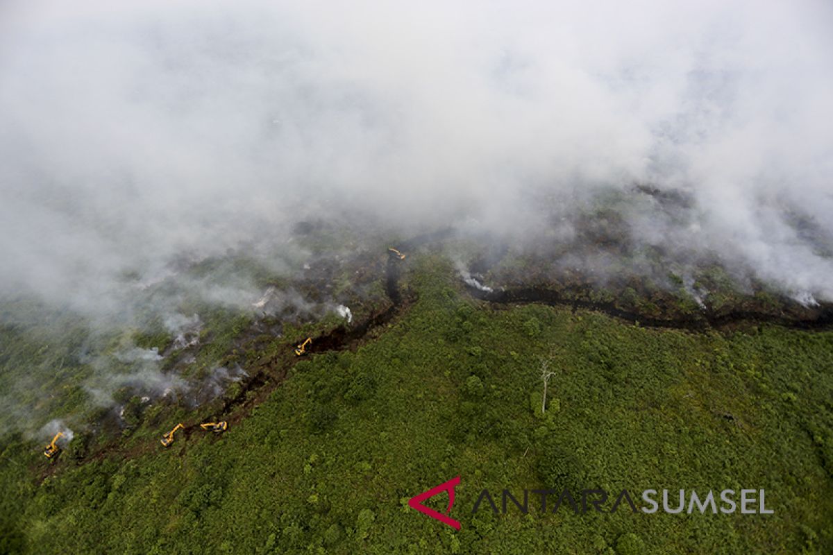 Puluhan hektare lahan gambut penajam terbakar