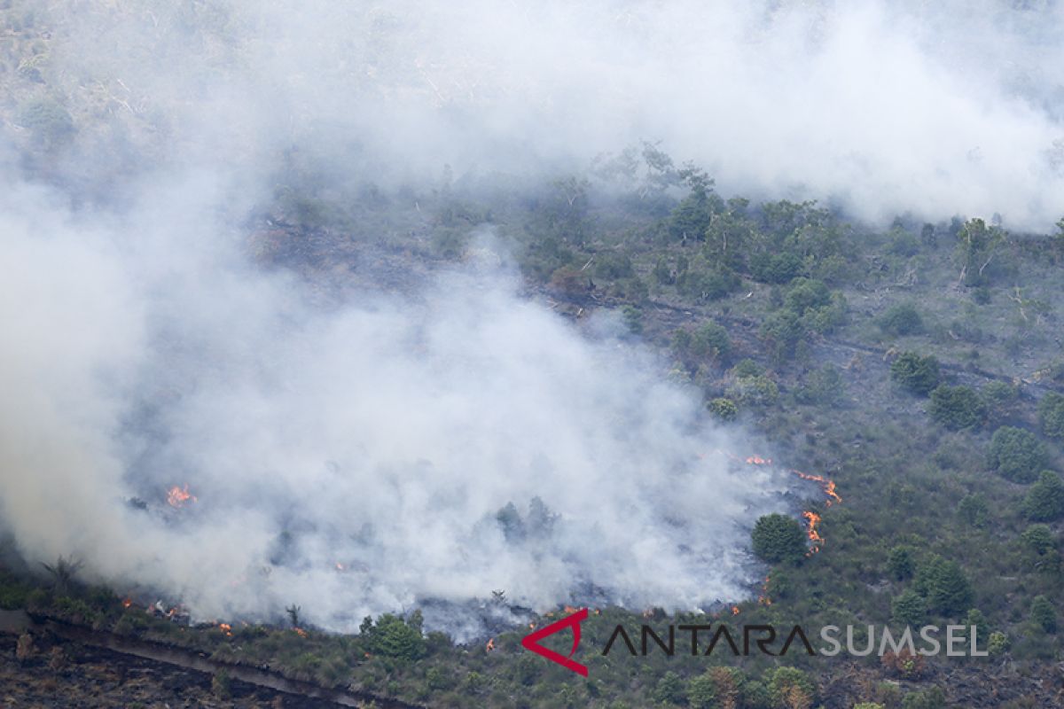 Kebakaran hutan di Riau meluas hingga 2.719 ha