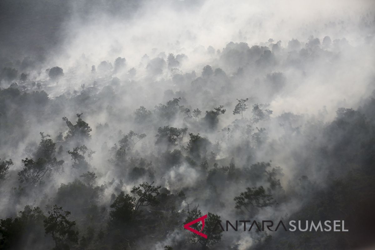 Kebakaran Lahan Pedamaran Induk Masih Menyala