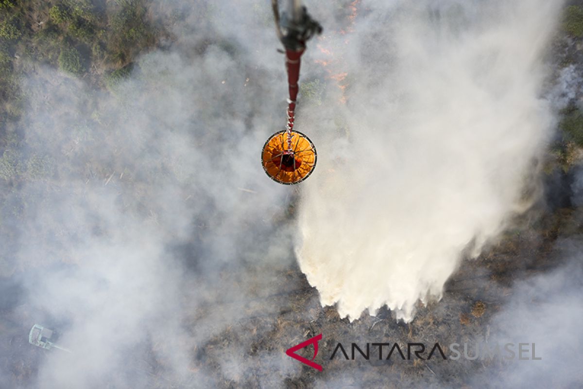 BNPB tambah armada udara tanggulangi karhutla