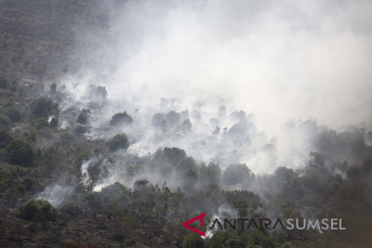 Kebakaran hutan gunung sindro di Jateng kian meluas