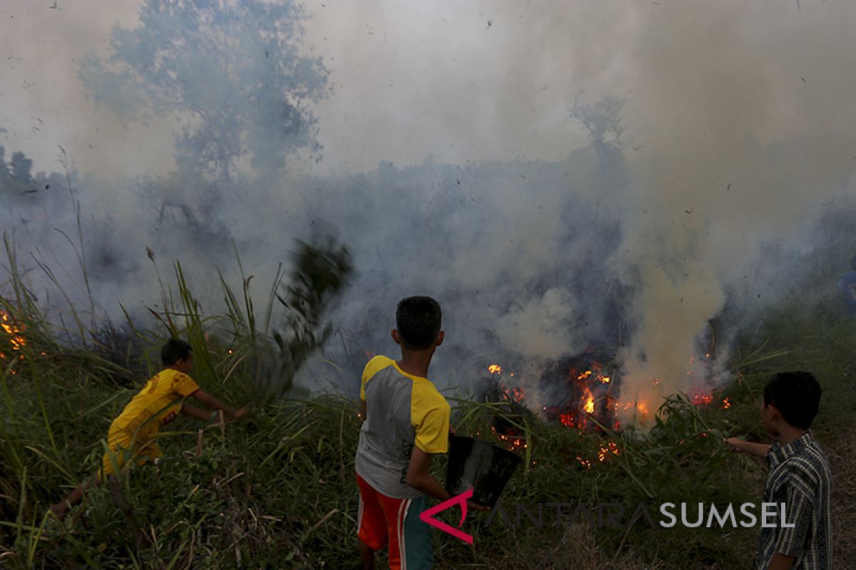 Kebakaran hutan dan lahan di Sumatera makin parah