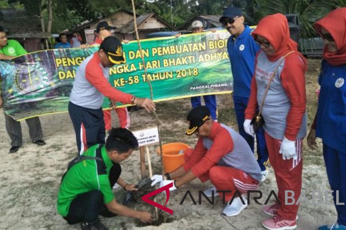 Kejati Babel tanam pohon di Pantai Pasir Padi