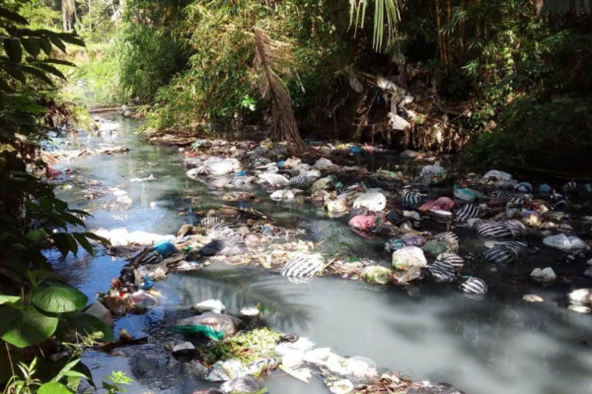 Sungai-sungai di Pesisir Trenggalek Rusak Tercemar Limbah Pindang