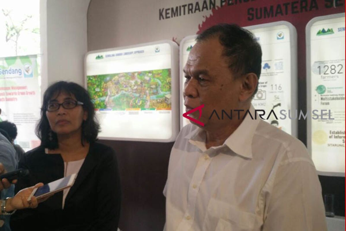 Sumsel prioritaskan restorasi gambut di sejumlah kabupaten