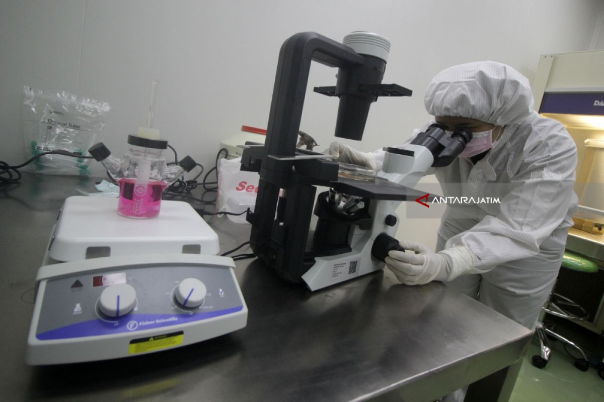 BRIN encourages stem cell research in Indonesia