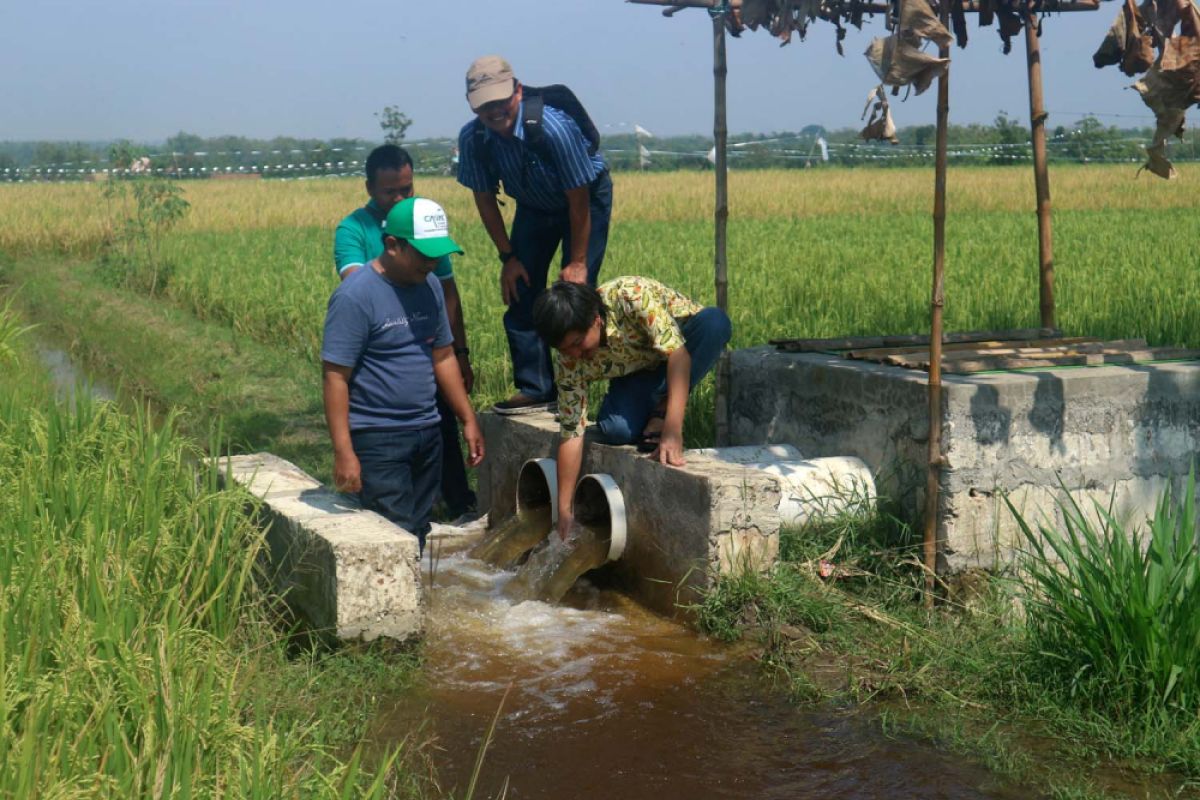 Harga Gabah Lahan Banjir Bojonegoro Rp5.200/Kilogram