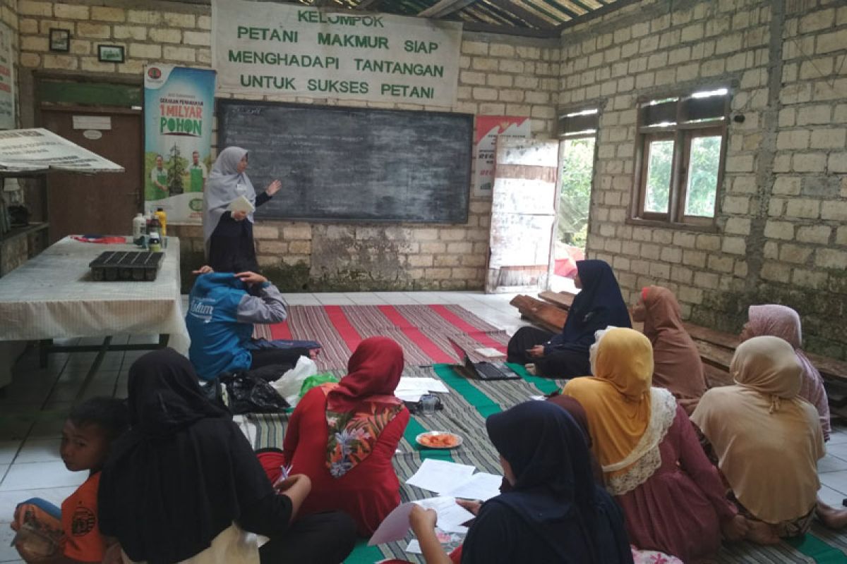 Mahasiswa IPB kelola portal herbal id, pos tanaman herbal untuk masyarakat