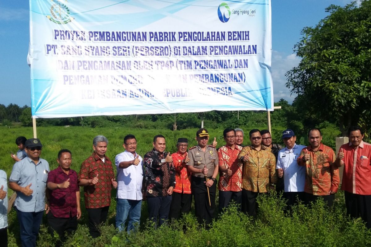 Parimo segera miliki pabrik benih pajala berkapasitas 2.500 ton/tahun