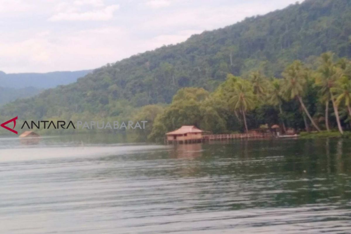 Papua Barat juara baru daerah hutan tropis