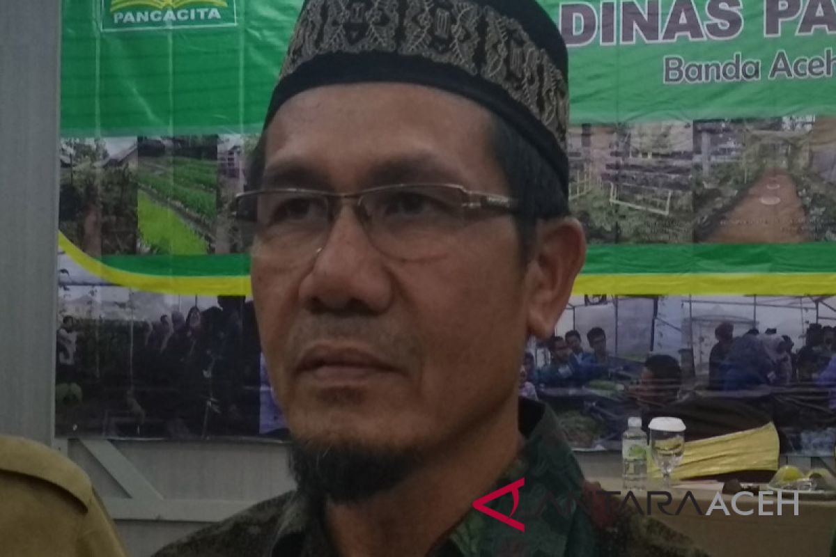 Pola pangan masyarakat Aceh masih rendah