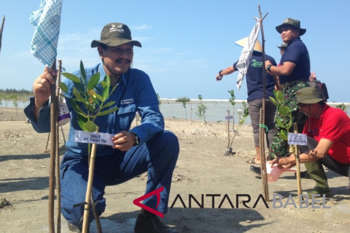 PT Timah-Ikebana Bangka tanam 5.000 bakau