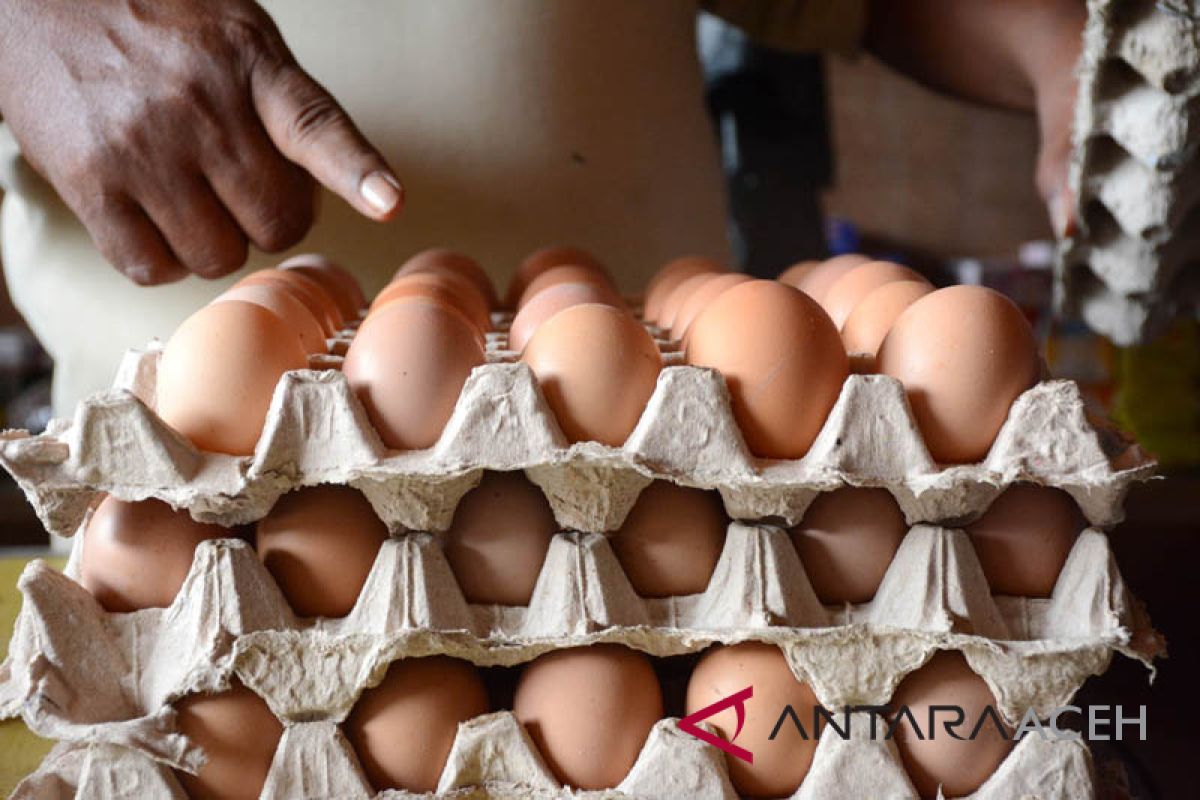 Harga telur ayam bergerak naik