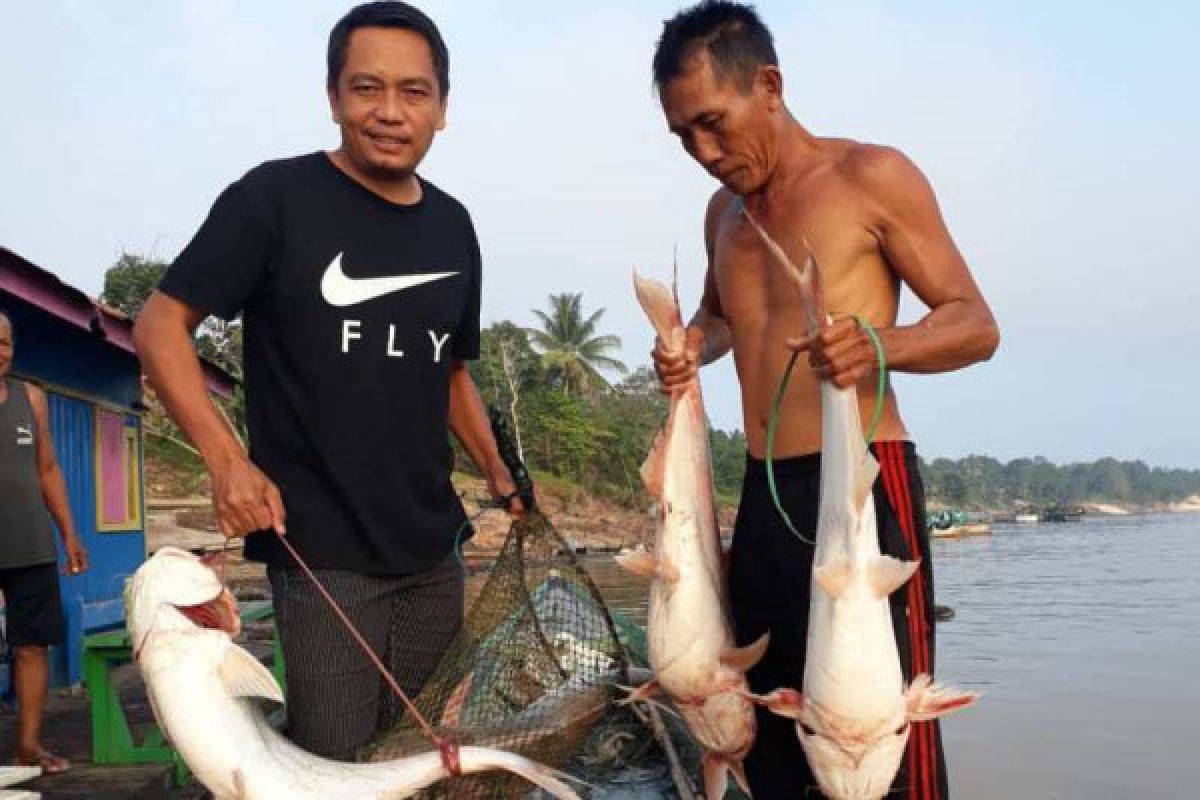 Potensi ikan patin Indonesia bukukan 10 juta USD di Dubai