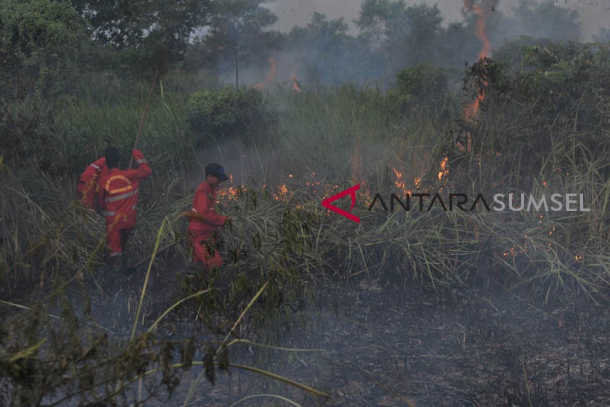 Antisipasi Karhutla, Pemprov Sumsel anggarkan Rp37 miliar