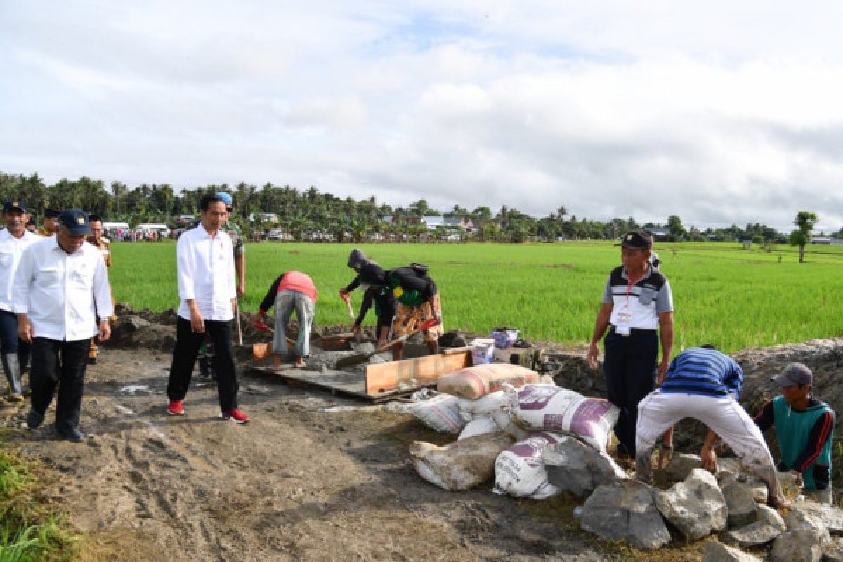 Presiden blusukan di pinggir sawah Mappadaelo