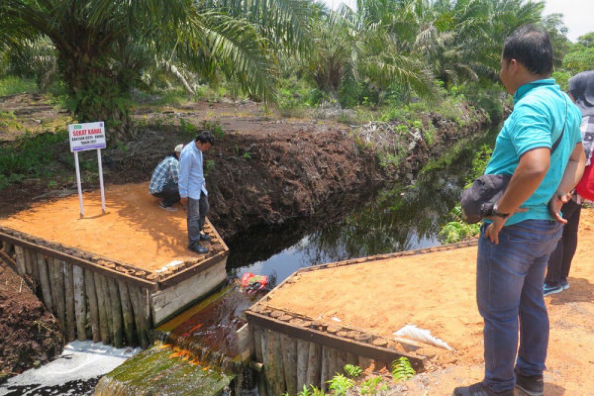 Kepala Staf Kepresidenan dorong agrowisata sekat kanal lahan gambut