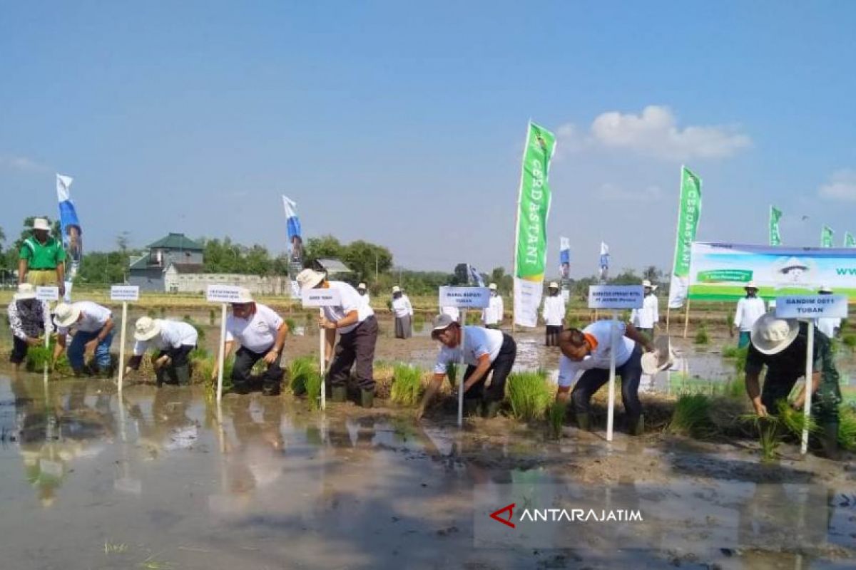 Petrokimia Dan Jasindo Luncurkan Program Cerdastani