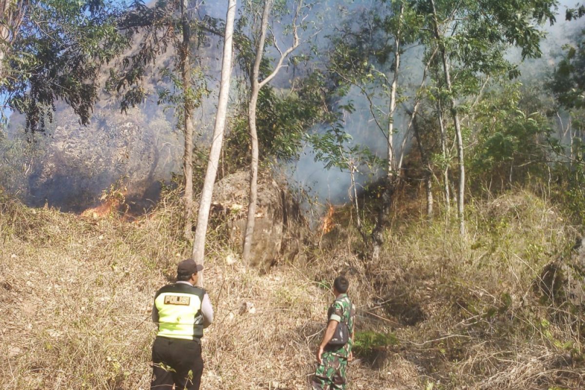 Hutan Rimba Milik Perhutani di Ponorogo Terbakar