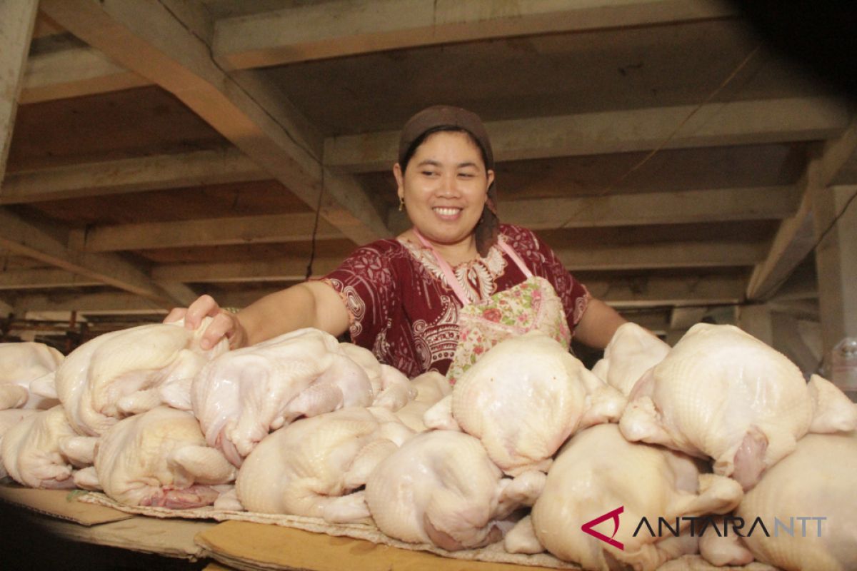 Harga daging ayam mulai bergerak naik