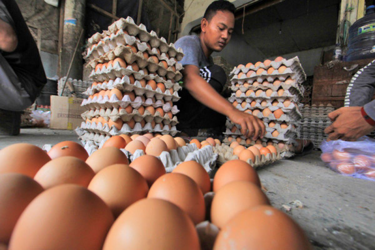 Harga telur ayam di Madiun capai Rp27.000/kg