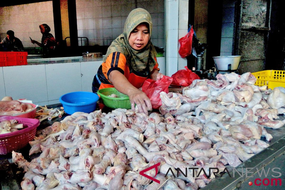 Kementan yakini harga daging ayam segera normal