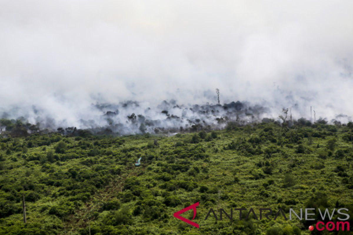 Forest, land fires in Musi Banyuasin extinguished successfully