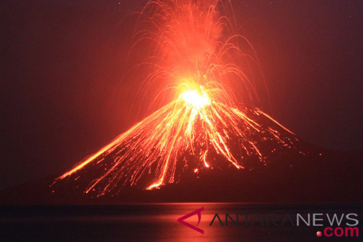 Gunung Anak Krakatau meletus 348 kali