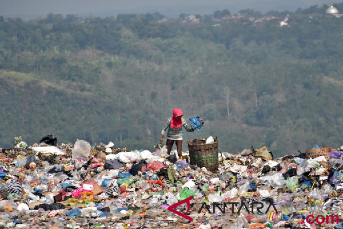 Plastics make up 37 percent of garbage polluting Indonesian seas