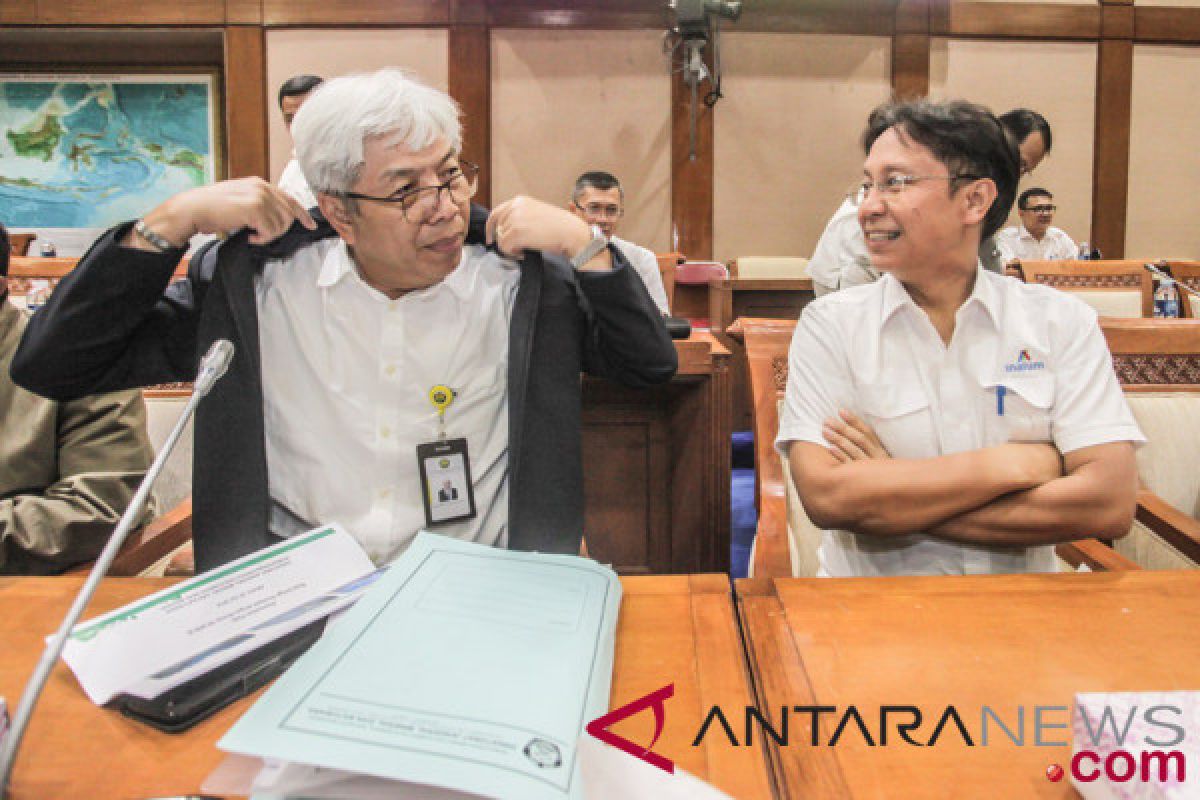 Capaian minerba 2018, pangkas perizinan hingga divestasi Freeport