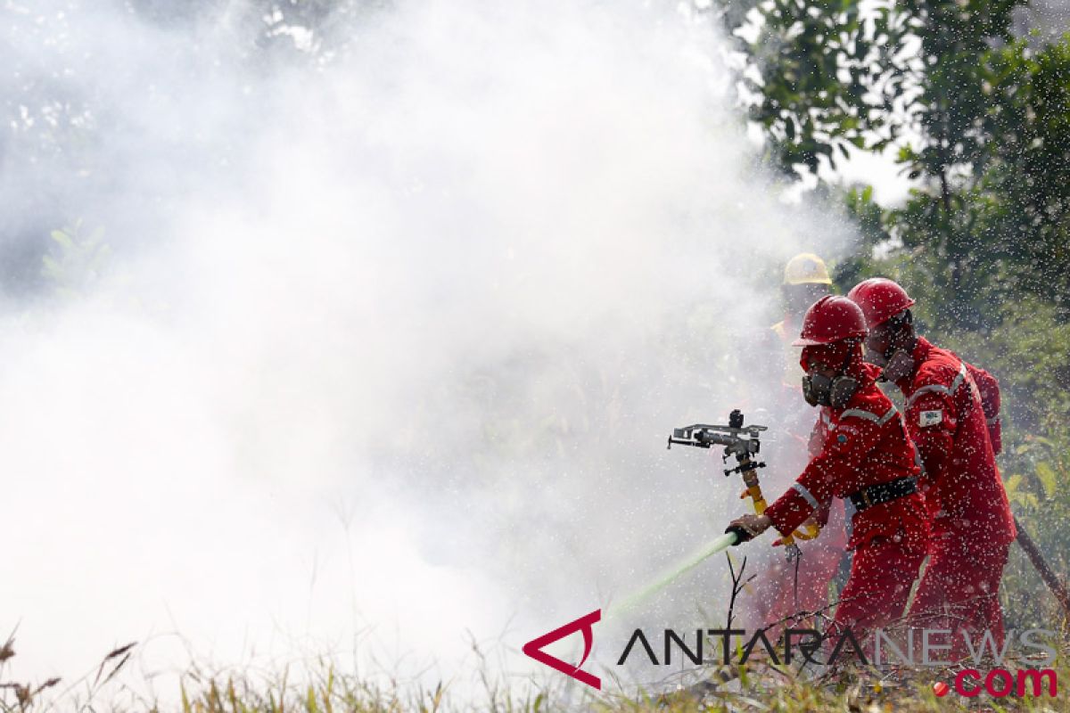 Indonesia fights forest fires in Sumatra ahead of Asian Games