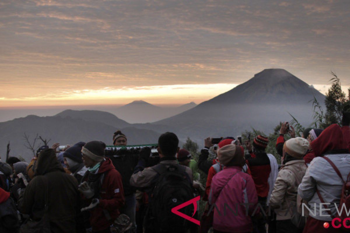 Fenomena embun upas di Dieng