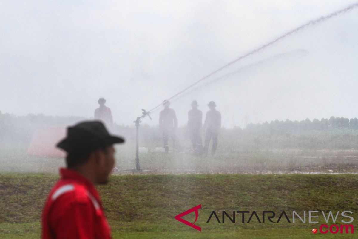 Kebakaran lahan baru bermunculan di Pekanbaru