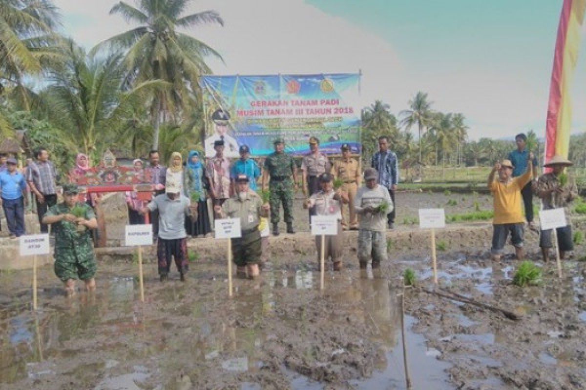 Optimalisasi pemanfaatan air di Gunungkidul untuk genjot produksi padi