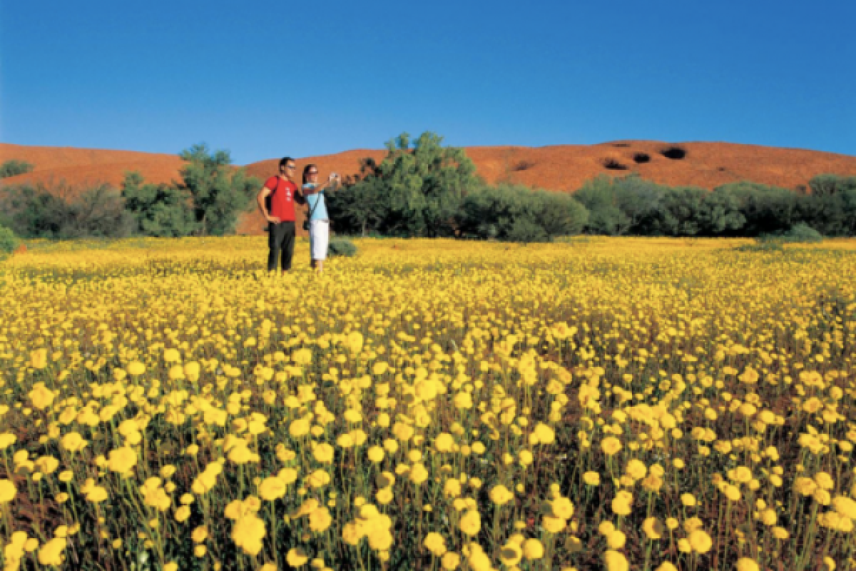 Australia Barat rumah rangkaian bunga liar terbesar di dunia