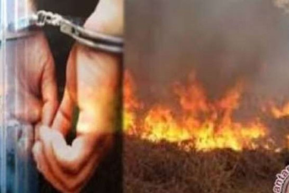 Bersihkan Lahan dengan Membakar, Petani di Dumai ini Diamankan