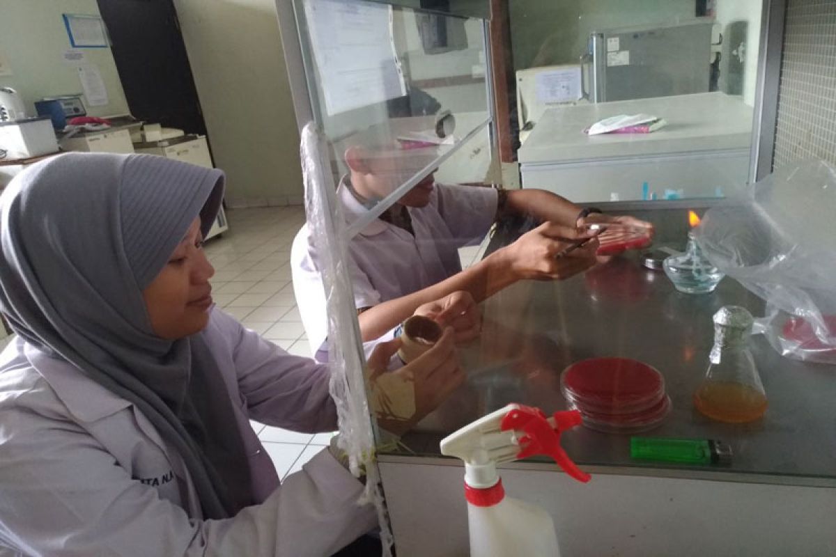 Mahasiswa IPB manfaatkan sabut kelapa untuk deteksi hematuria