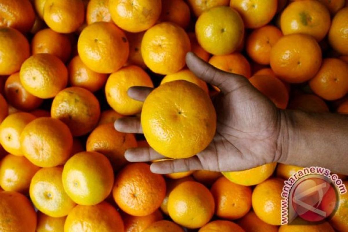 Peneliti : Makan jeruk pelihara daya pandang