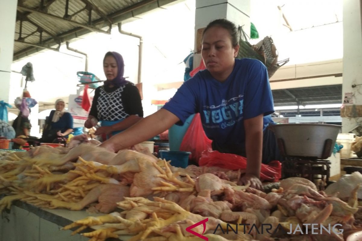 Harga daging ayam capai Rp38.000